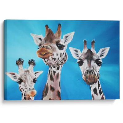 Лицо жирафа — раскраска для детей. Распечатать бесплатно.