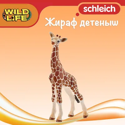 Фигурка животного Collecta Жеребенок Сетчатого Жирафа купить по цене 634 ₽  в интернет-магазине Детский мир