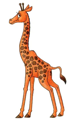 Пижама кигуруми Жираф Кигуруми Жирафа для детей на мальчика и девочку  (1042) (ID#1484466111), цена: 749 ₴, купить на Prom.ua