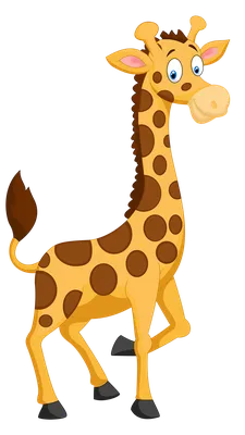 Жираф картинки для детей в детский садик и в начальную школу.