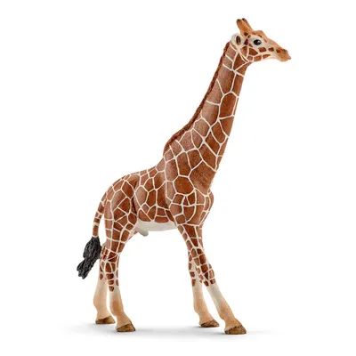 Как нарисовать жирафа для детей - 33 фото