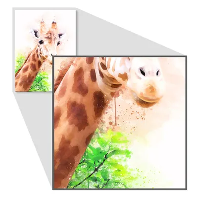 Купить Жираф постер Жирафа картина Жирафа декор Жираф на стену Холст с  жирафом Мордочка жирафа Жираф и листья, цена 360 грн — Prom.ua  (ID#1210886336)