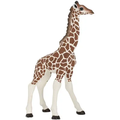 Фигурка PAPO Детеныш жирафа - купить по лучшей цене в интернет-магазине  детских игрушек SunnyToy!