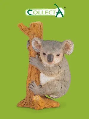 Австралия животные: Коала сидит на …» — создано в Шедевруме