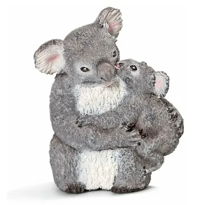 Австралия Животные Коала - Бесплатное фото на Pixabay - Pixabay