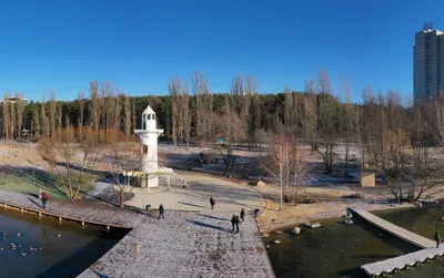 Парк Дельфин | Гостиничная группа Академия уюта в Воронеже