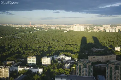 Жилой комплекс Настроение в Москве: Современная жизнь рядом с заповедником Лосиный  остров в Москве. Информация о квартирах и планировках от компании дан  недвижимость.