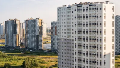 ЖК Заповедный парк Санкт-Петербург от официального застройщика ЛСР: цены и  планировки квартир, ход строительства, срок сдачи, отзывы покупателей,  ипотека, акции и скидки — Домклик