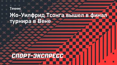 Жо-Вильфред Тсонга: «Некоторые не любят Джоковича, потому что был период,  когда он не хотел быть самим собой» | Sports.ru | Дзен