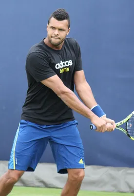 Category:Jo-Wilfried Tsonga - Wikimedia Commons