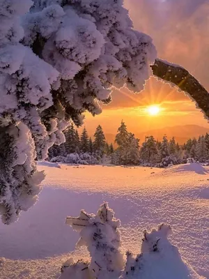 Первозданная красота! #зима #снег #лес | Beautiful winter scenes, Winter  scenes, Sunset photography nature