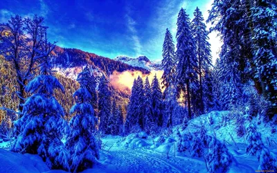 Красивая зима - 68 фото