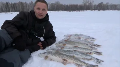 АРК :: Видео о рыбалке :: Алтайский рыболовный клуб