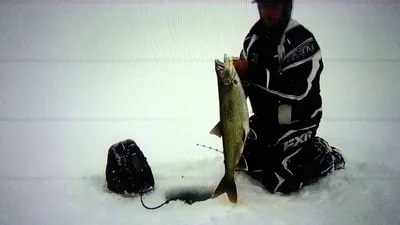 Зимняя рыбалка на видео. Вываживание огромной рыбины. « Рыболовные новости  со всего света на сайте Российской спиннинговой лиги