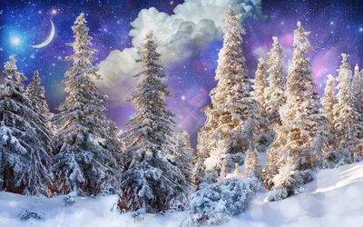 Волшебный зимний лес - 60 фото