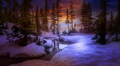 Фото Зимний лес с рекой, by ElenaDudina