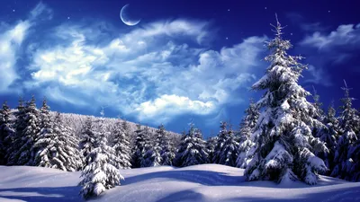 Зимний лес под лунным светом - обои для рабочего стола, картинки, фото