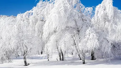 Зимний пейзаж .Фото - YouTube