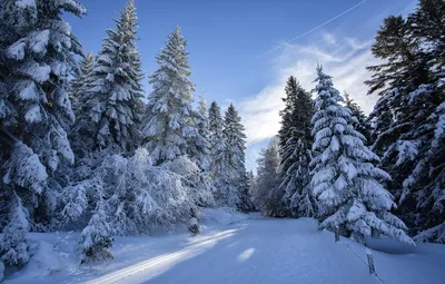 Обои зима, иней, дорога, лес, облака, снег, деревья, синева, ели, сугробы,  зимняя, зимний пейзаж, заснеженный картинки на рабочий стол, раздел пейзажи  - скачать