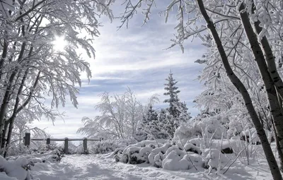 Обои для Литы, зимний пейзаж, романтика зимы, заснеженные деревья картинки  на рабочий стол, раздел пейзажи - скачать