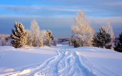 Зима пейзаж - 48 фото