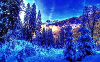 Красивый зимний пейзаж на рабочий стол - 33 фото