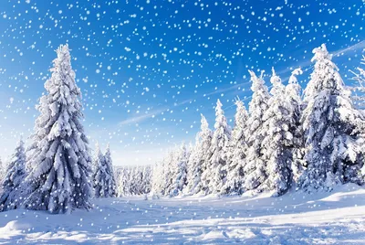 Картинки зимний пейзаж (100 фото) • Прикольные картинки и позитив