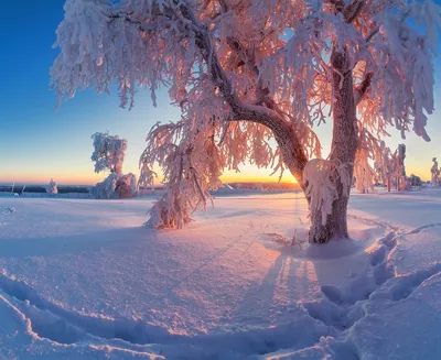 Русский зимний пейзаж - 90 фото