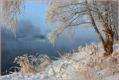Зимний пейзаж у реки - Зима - Фото галерея - Галерейка