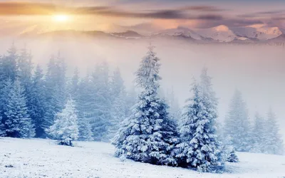 Зимний пейзаж фон - 54 фото