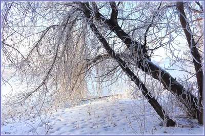 Фото зимний пейзаж - Зима - Фото галерея - Галерейка