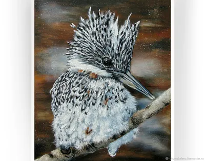 Картина оригинальная птица Зимородок, масло на холсте – купить онлайн на  Ярмарке Мастеров – SJTWARU | Картины, Челябинск