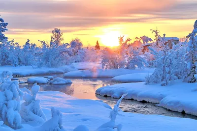 Красота зимы - 52 фото
