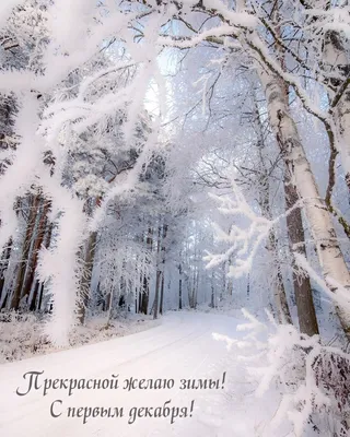 Картинки с надписью - Прекрасной желаю зимы! С первым декабря!.