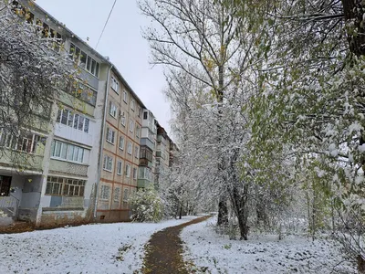 Репетиция зимы: ТОП-10 фотографий снежной сказки | 31.10.22 | Яркуб