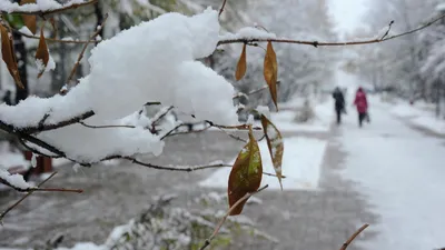 Каким будет начало зимы в Кыргызстане — погода до 9 декабря