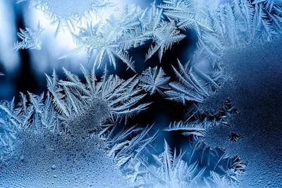 Приметы первого дня зимы: как привлечь счастье 1 декабря - AmurMedia