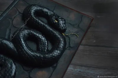 Черная мамба - одна из самых смертоносных змей на планете. Стоковое  Изображение - изображение насчитывающей поворотливая, взорвать: 162021595