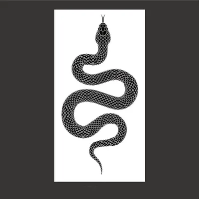 изображение синей змеи, картинка змея черная мамба, змея, рептилия фон  картинки и Фото для бесплатной загрузки
