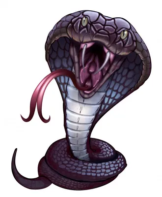 Голова змеи (47 лучших фото)