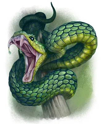 Две головы, два сердца: в США найдена уникальная змея - Turist