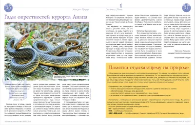 Европейские Vermicularis Typhlops змеи червя Стоковое Фото - изображение  насчитывающей блимпа, мало: 204499364