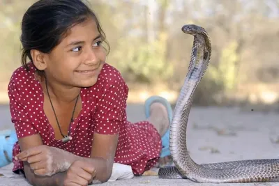 Мы с тобой одной крови — культ змеи в Индии | Географ и глобус | Дзен