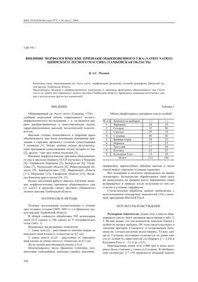 В Ивановской области дожди привели к появлению змей | IvanovoNEWS | БАРС |  Новости | Иваново | Дзен