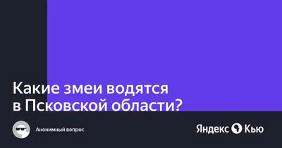 Что делать при укусе змеи и как отличить ужа от гадюки - 19 мая 2023 -  Фонтанка.Ру