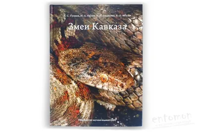 Банников А.Г., Даревский И.С., Рустамов А.К. Земноводные и пресмыкающиеся  СССР. Класс Пресмыкающиеся, или Рептилии. Отряд Змеи. Семейство Ужовые.  Ужи. Динодоны. Волкозубы. Полозы. Чешуелобые полозы. Большеглазые полозы.  Литоринх. Лазающие полозы ...