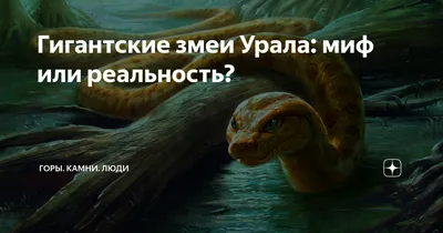 Ядовитые черные змеи вернулись на Урал — видео