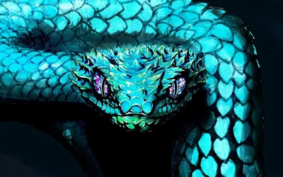 Красивые змеи - 47 фото