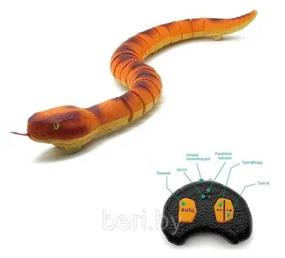 Фигурка животного Змея Анаконда Collecta 5100982 купить за 635 ₽ в  интернет-магазине Wildberries