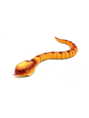 визуализированное 3d изображение большой свирепой зеленой змеи, анаконда,  змея, хищник фон картинки и Фото для бесплатной загрузки